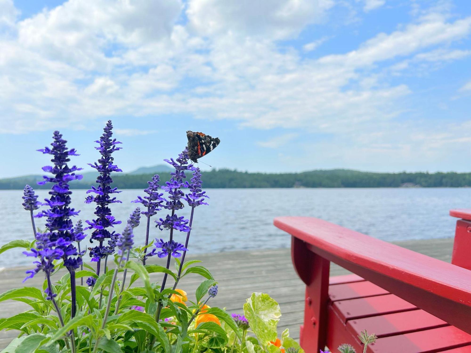 Paddler'S Rest Lakeside Cabins And Motel Long Lake Exterior foto